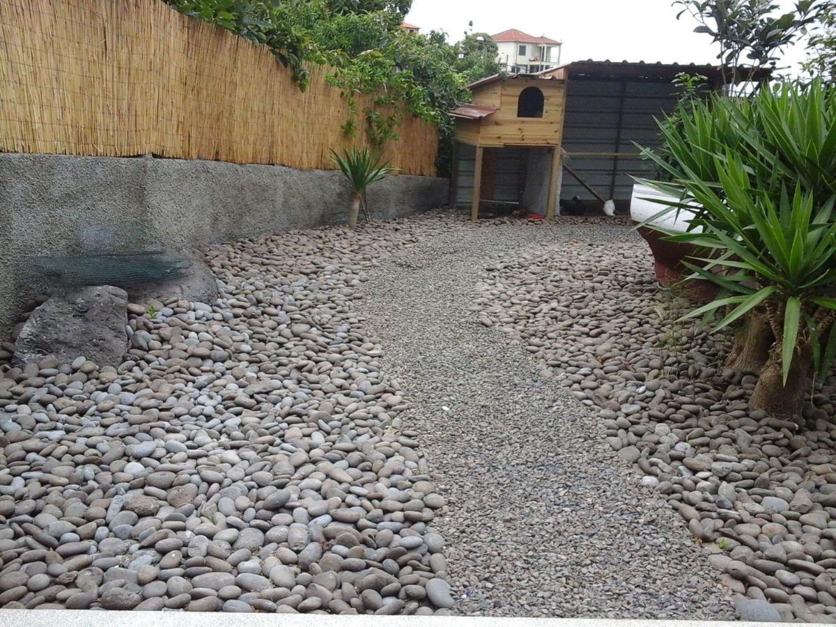 Cottage Quinze, Contemporary Designed Cottage With Swimming Pool Ponta Delgada  Exterior photo